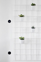 Byt se zelenou stěnou, Ti architekti