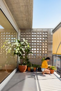 Terasový dům v Sydney od studia Austin Maynard Architects