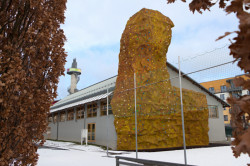 Celým areálem prochází křivolaká cesta, na které se dá jezdit na kolečkových bruslích. Dalším zábavním prvkem je třeba horolezecká stěna v tělocvičně, která se nachází jak uvnitř, tak venku.