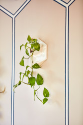 Interiér Restaurace Černá Madona, MIAOW