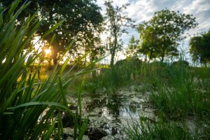 Nadace Partnerství zahájila přihlašování do pátého ročníku soutěže Adapterra Awards