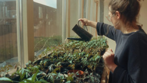 De Warren: Cesta ke společnému bydlení / Living Together: The Story of De Warren (Sam van Zoest, 2023)