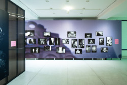 Pohled do výstavy (Výstava Libuše Jarcovjaková, ateliér AnnaMAT)