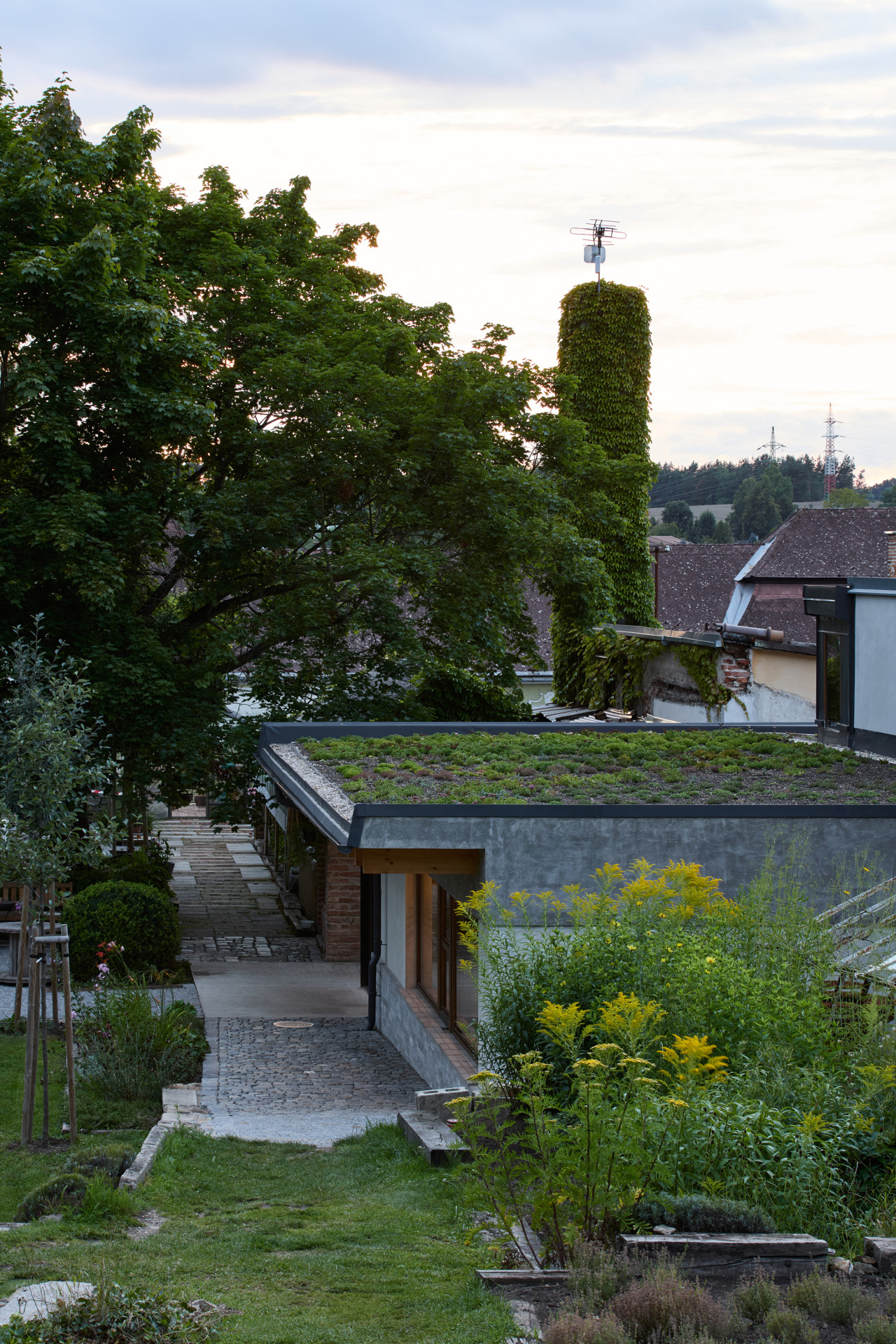Stavba je zakončena plochou vegetační střechou s výrazným přesahem na jih, který stíní intenzivní letní slunce. (Krafferova zahrada v Jindřichově Hradci od matěj šebek architekti a Ateliér Za Mák)