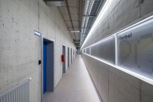 Sportovní hala města Plzeň, Projectstudio8: Interiéry definuje modrá barva, pohledový beton, přiznané konstrukce a technické rozvody