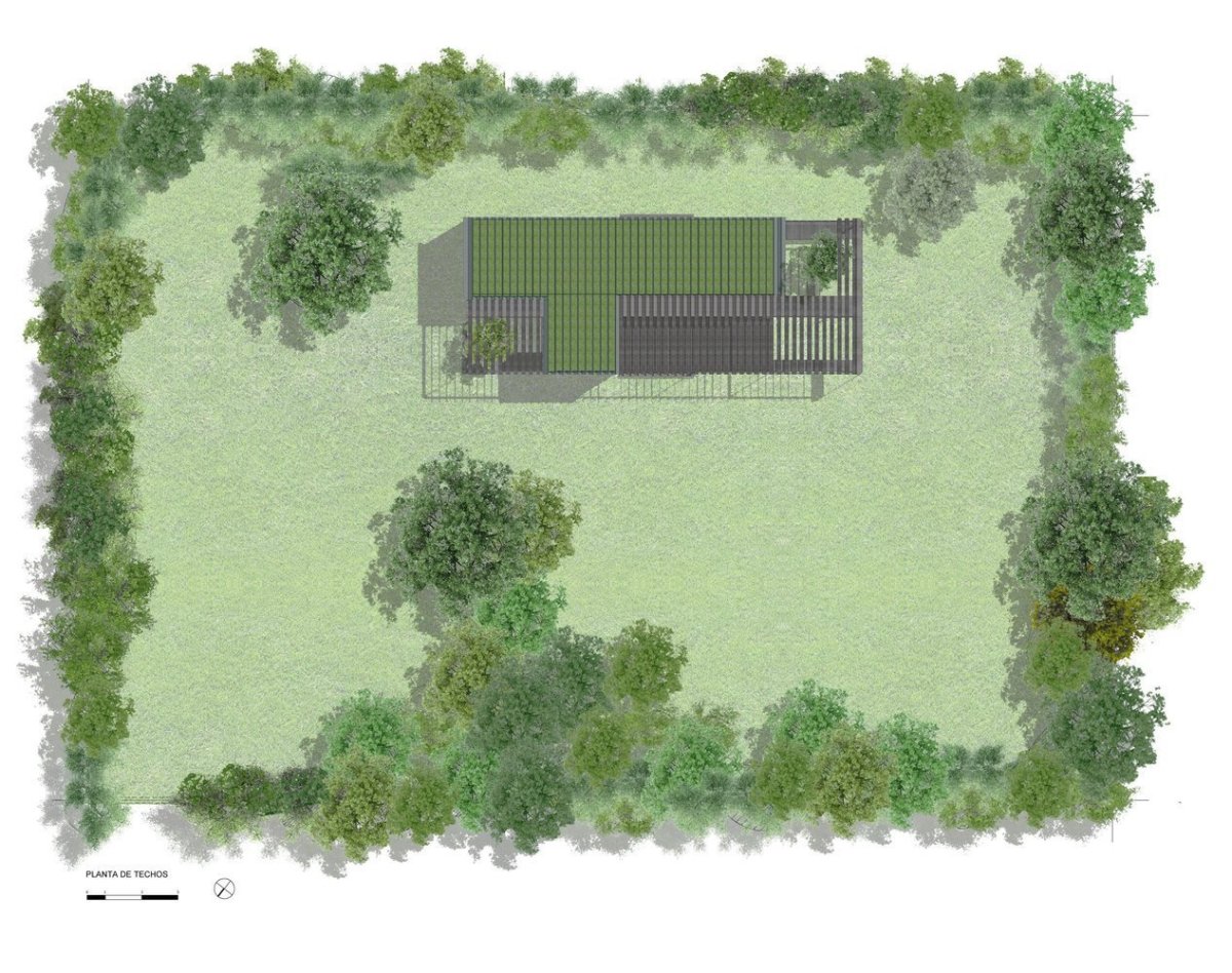 Casa de Madera, Estudio Borrachia
