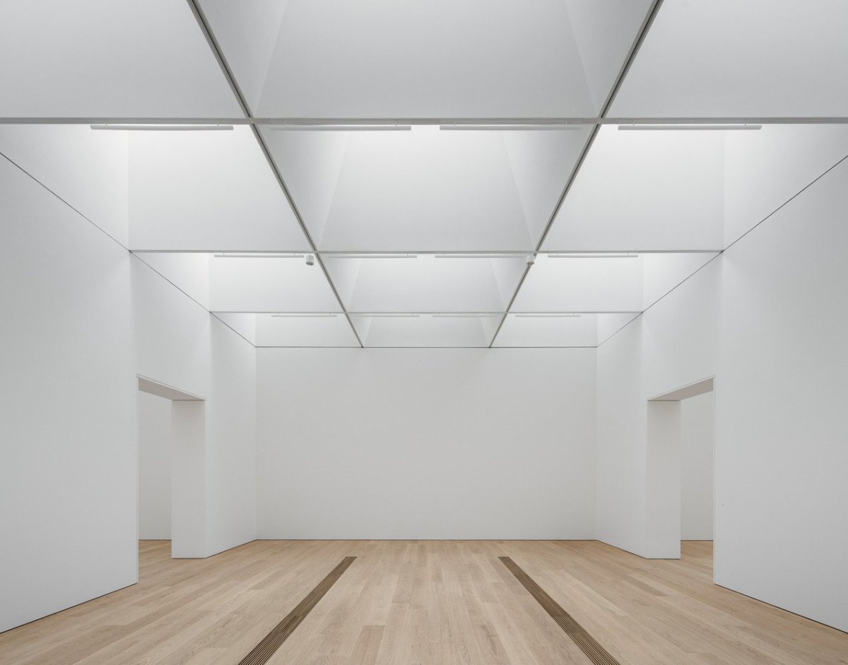 Kantonální muzeum výtvarného umění Lausanne, Barozzi Veiga
