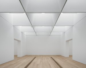 Kantonální muzeum výtvarného umění Lausanne, Barozzi Veiga