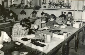 Historické fotografie - montáž svorkovnic (závod Louky)