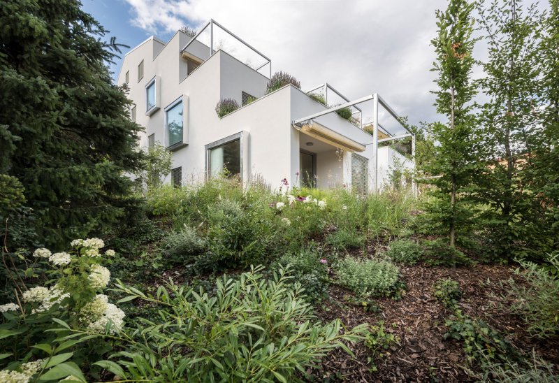 Dům obklopený zahradou v Praze - Krči. (Terasový dvojdům v Krči, martin cenek architecture)