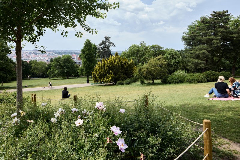 Historický park prošel nenápadnou rekonstrukcí, která však návštěvníkům zpříjemňuje pobyt. (Obnova Riegrových sadů, Matouš Jebavý)