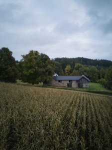 Statek na Vysočině vznikal postupně od první poloviny 19. století až do jeho závěru. (Chalupa na Vysočině; Plus One Architects)