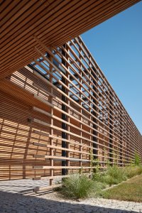 „... a vnitřní husté laťování, které se místy líně sveze, aby zformovalo lavici,“ popisují to architekti ve své autorské zprávě. (Vinařství Kolby v Pouzdřanech, ORA)