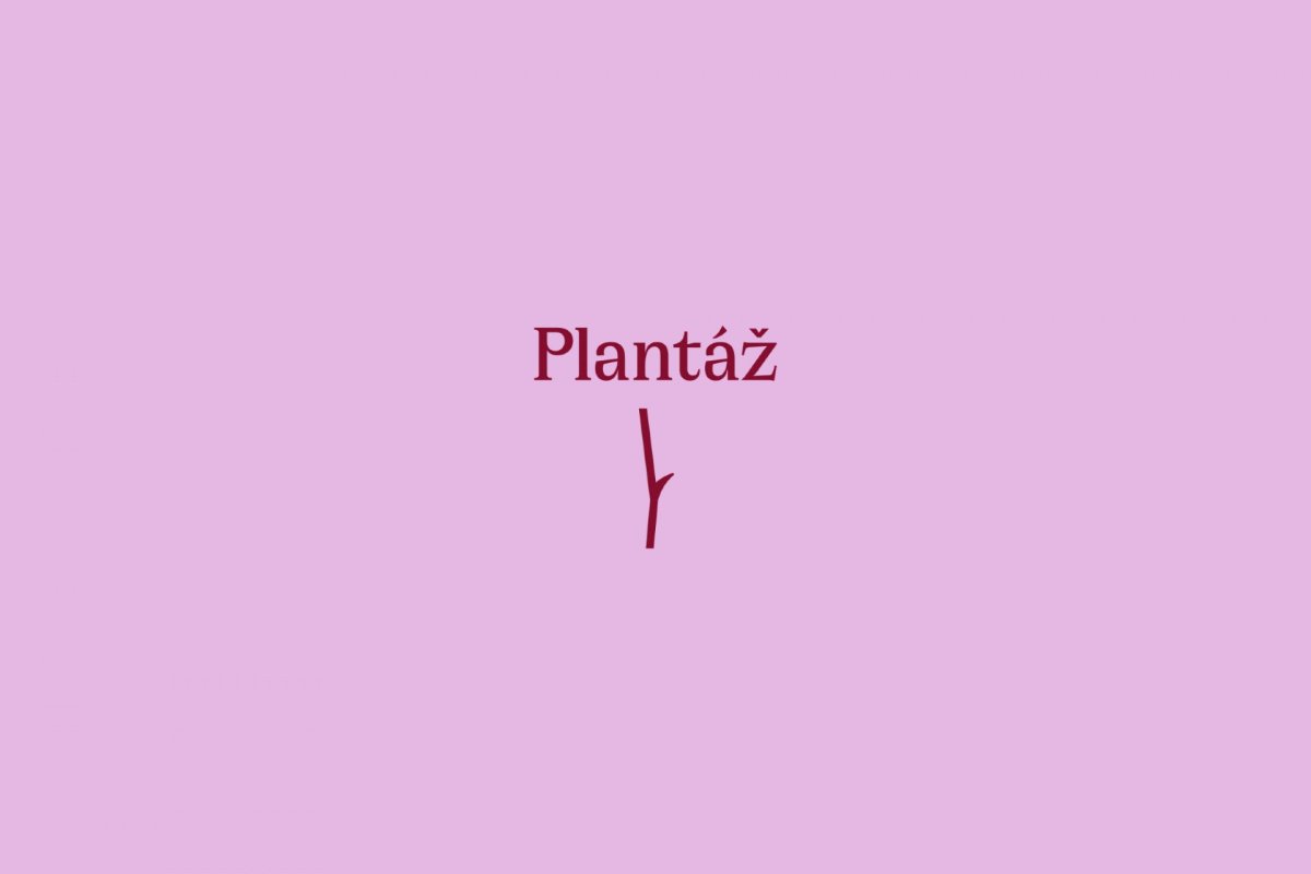 Nová vizuální identita města Blatná, Jakub Vaněk Studio.